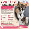 PIZCA