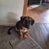Kleine Paula sucht Familie