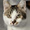LILLY - will endlich geliebt werden!