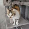 LILLY - will endlich geliebt werden!