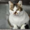 LILLY - will endlich geliebt werden!