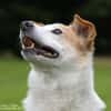 Charmanter Senior sucht Senioren