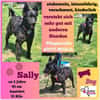 💕Sally💕 sucht ihre Familie