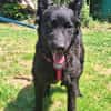 💕Sally💕 sucht ihre Familie