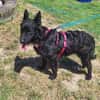 💕Sally💕 sucht ihre Familie