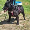 💕Sally💕 sucht ihre Familie