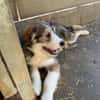 Yorin