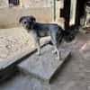 SAMBA (Martina)