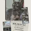 majestic