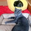 Mara & Maia Dreamteam sucht Familie