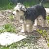 Sweety  in 59872 Meschede