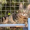 Zuckersüße Sugar sucht Happy Home