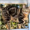 Zuckersüße Sugar sucht Happy Home
