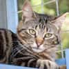 Zuckersüße Sugar sucht Happy Home