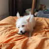 Lili Puce. la mignonne louloute