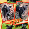 junge aktive Katea auf PS in 90475