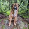 Eddie sucht aktive Menschen!NOTFALL