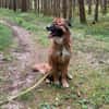Eddie sucht aktive Menschen!NOTFALL