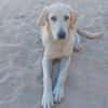 Buba sucht engen Familienanschluss