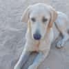 Buba sucht engen Familienanschluss