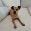 Roxy la coquine