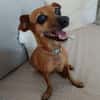 Roxy la coquine