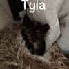 Tyia