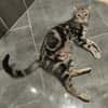 ISKA
