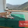 Ana (Los Reyes)