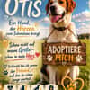 OTIS  EIN HERZ AUF VIER PFOTEN SUCHT SE