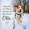 OTIS  EIN HERZ AUF VIER PFOTEN SUCHT SE