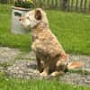 TEO SUCHT KUSCHELPLATZ