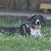 Amea sucht ihre Familie