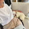 Duke sucht sein Für-immer-Zuhause