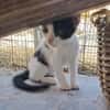 Stripe sucht DICH als Spielpartner!