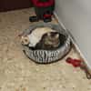 JACOB