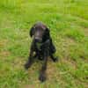 Bently einfach nur toll
