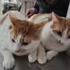 Copper & Monchi Verspieltes Dreamteam
