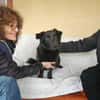 Nero, Junghund sucht neue Familie