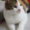 Luna W~ 1,5 Jahre sucht ihren Menschen