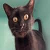 BLACKY
