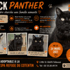 BLACK PANTHER (Réservé)