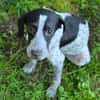 Kleine DOLLY
