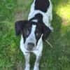 Kleine DOLLY