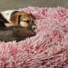 Bonnie - kinderlieber Familienhund