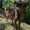 Süße Neila🌺sucht liebevolles Heim