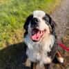 MUFFIN - ich suche meine Chance