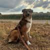 Leo - der soziale Altagsbegleiter
