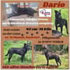 💙Dario💙 sucht seine Familie