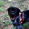 Athos